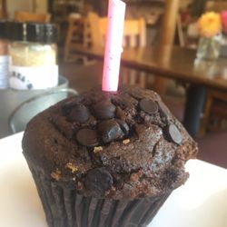 Rachel’s Spice - Chocolate muffin