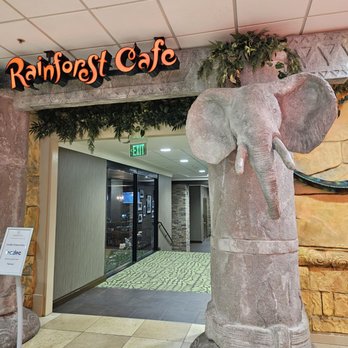 Rainforest Cafe - Entrance from hotel - Cafes Near Me - Niagara Falls, New York Rainforest Cafe - Entrance from hotel - Cafes Near Me - Niagara Falls, New York