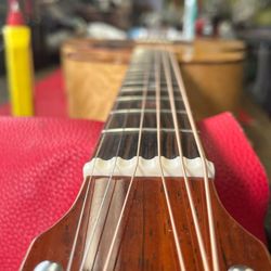 R Guitars