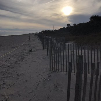 Edisto Beach State Park - Dunes - Parks Near Me - Edisto Island, South Carolina Edisto Beach State Park - Dunes - Parks Near Me - Edisto Island, South Carolina
