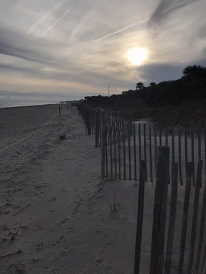 Edisto Beach State Park by null
