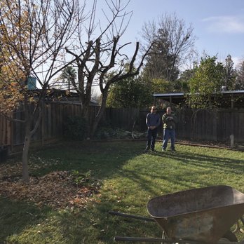 Antonio's Tree Trimming Service - 12' tree that's no longer interfering with solar productions. - Tree Services Near Me - Antioch, California Antonio's Tree Trimming Service - 12' tree that's no longer interfering with solar productions. - Tree Services Near Me - Antioch, California