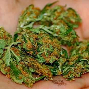 Marijuana Bud Store - Cannabis Dispensaries Near Me - San Francisco, California Marijuana Bud Store - Cannabis Dispensaries Near Me - San Francisco, California