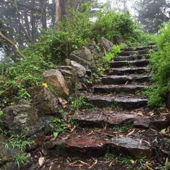 Mount Davidson Park - Dirty Harry's partner runs up these steps during the Ransom Run scene. - Parks Near Me - San Francisco, California Mount Davidson Park - Dirty Harry's partner runs up these steps during the Ransom Run scene. - Parks Near Me - San Francisco, California