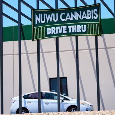 NuWu Cannabis LV by null