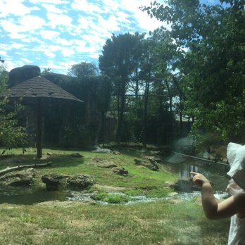 Montgomery Zoo - Zoos Near Me - Montgomery, Alabama