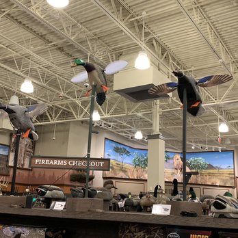 Cabela's - Duck decoys - Guns & Ammo Near Me - Centerville, Ohio