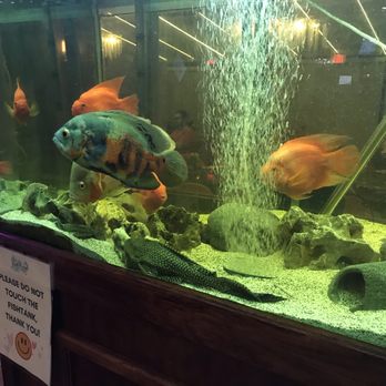 Red Bowl - Big Fish tank - Cantonese Near Me - Brooklyn, New York Red Bowl - Big Fish tank - Cantonese Near Me - Brooklyn, New York