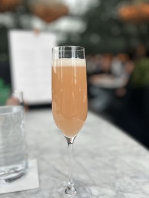 RH Rooftop Restaurant at RH Oak Brook by null