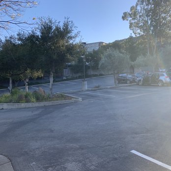 Belmont Library - Parking lot - Libraries Near Me - Belmont, California Belmont Library - Parking lot - Libraries Near Me - Belmont, California