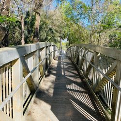 New Tampa Nature Park