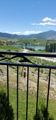 Tipsy Canyon Winery by null