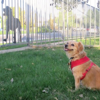 Riverwalk Dog Park - Dog Parks Near Me - Riverside, California Riverwalk Dog Park - Dog Parks Near Me - Riverside, California