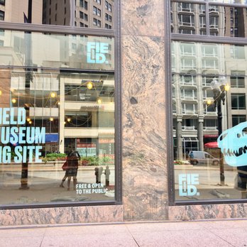 Field Museum Dig Site - Field Museum Dig Site June 2019 - Children's Museums Near Me - Chicago, Illinois Field Museum Dig Site - Field Museum Dig Site June 2019 - Children's Museums Near Me - Chicago, Illinois