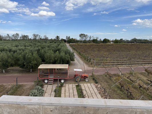 Cuna de Tierra by null