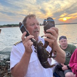 Peake’s Wharf Boat Tours - Lobster explanation
