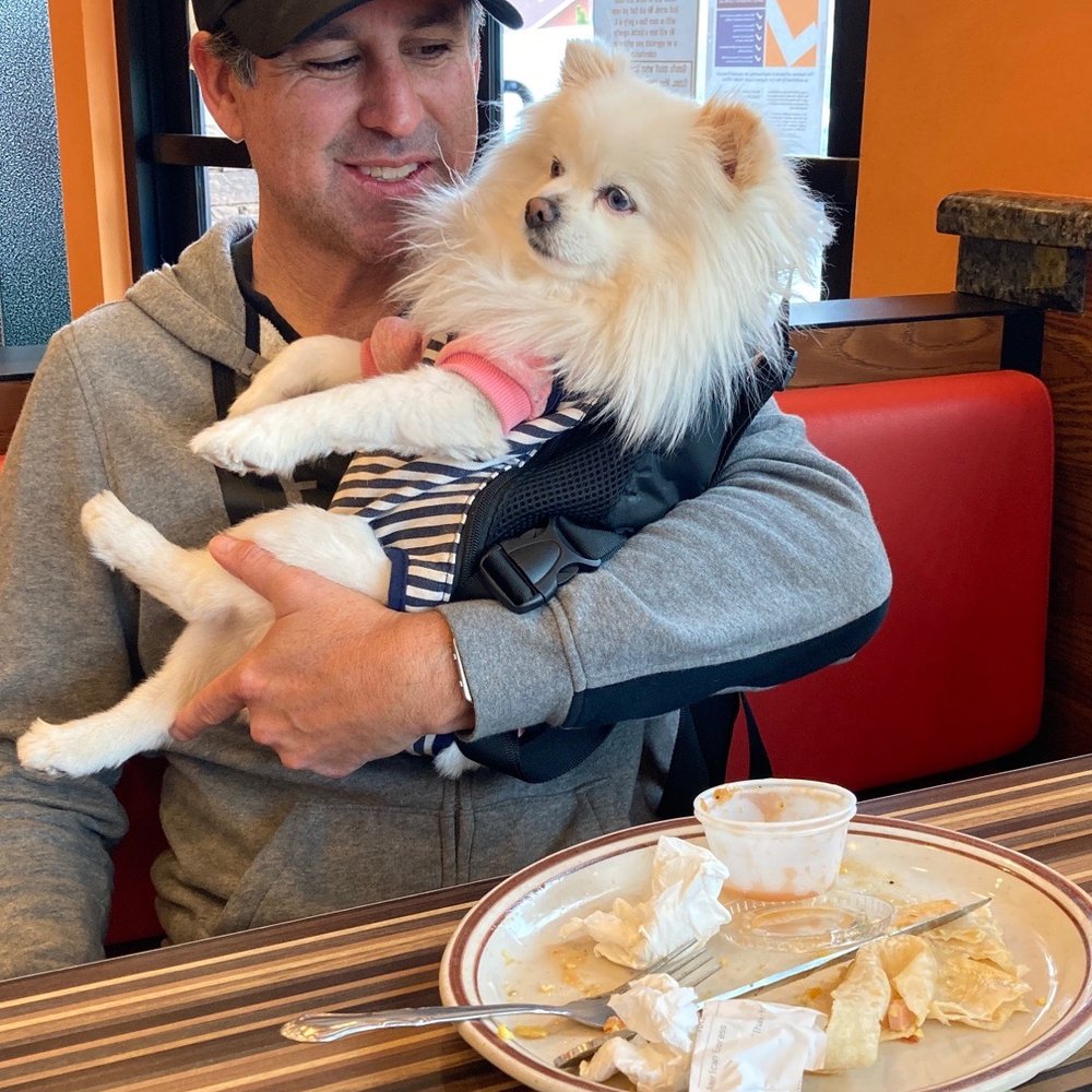 Tom's - Pasadena - We come here every wknd and LOVE the breakfast burritos! - Burgers Near Me - Pasadena, California Tom's - Pasadena - We come here every wknd and LOVE the breakfast burritos! - Burgers Near Me - Pasadena, California