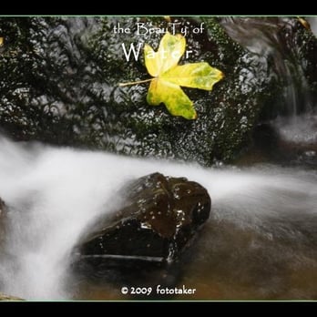 Munson Creek Falls - Parks Near Me Munson Creek Falls - Parks Near Me