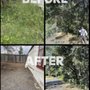 Alex Landscaping And Maintenance