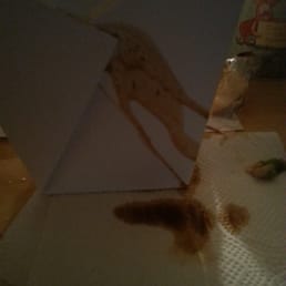 Flimsy box leaked everywhere. Flimsy box leaked everywhere.