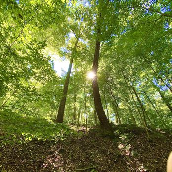 Timberland Park - Hiking Near Me