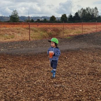 Carpinito Brothers Pumpkin Patch - $4 strawberry lemonade - Farmers Market Near Me - Kent, Washington Carpinito Brothers Pumpkin Patch - $4 strawberry lemonade - Farmers Market Near Me - Kent, Washington