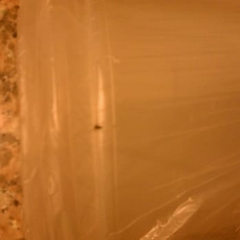 Budget Inn Express - Bug on cups - Hotels Near Me - Douglas, Wyoming Budget Inn Express - Bug on cups - Hotels Near Me - Douglas, Wyoming