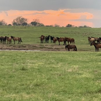 Wild Horse Cabin - The scenery around cabin is so refreshing - Vacation Rentals Near Me - Madill, Oklahoma Wild Horse Cabin - The scenery around cabin is so refreshing - Vacation Rentals Near Me - Madill, Oklahoma