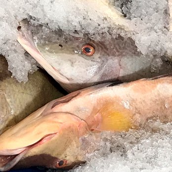 Collins Fish & Seafood - Wholesalers Near Me - Miami, Florida Collins Fish & Seafood - Wholesalers Near Me - Miami, Florida