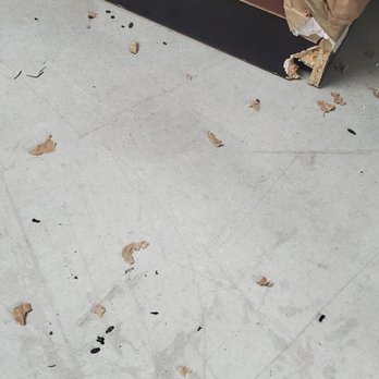 Public Storage - More rat feces. Looks like they were gnawing in our furniture too. - Self Storage Near Me - Cypress, Texas