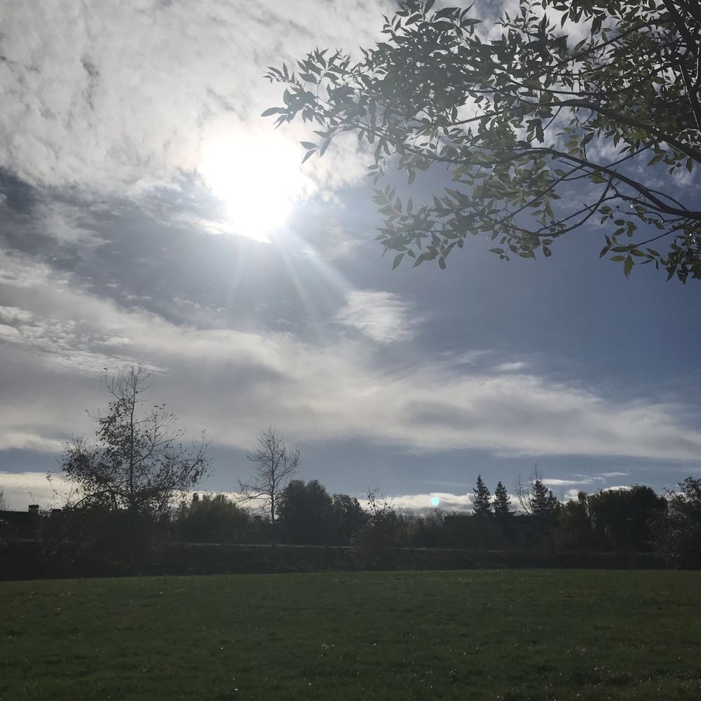 River View Park - Winter sun - Parks Near Me - San Jose, California River View Park - Winter sun - Parks Near Me - San Jose, California