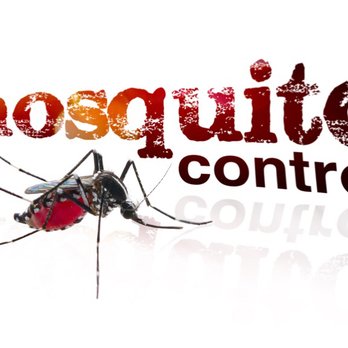 Dyno Pest Services - Mosquito Control - Wildlife Control Near Me - Woodstock, Georgia Dyno Pest Services - Mosquito Control - Wildlife Control Near Me - Woodstock, Georgia