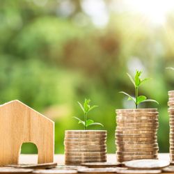 TNT Home Appraisal Services - TNT Home Appraisal Services
