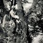 Photo of E&S tree service