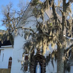 City of Fairhope - Spanish moss in trees