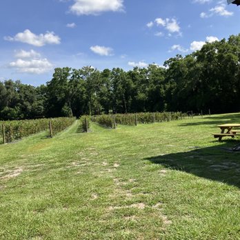 Sweet Berry Farms - Pick Your Own Farms Near Me - Williston, Florida Sweet Berry Farms - Pick Your Own Farms Near Me - Williston, Florida