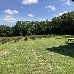 Sweet Berry Farms