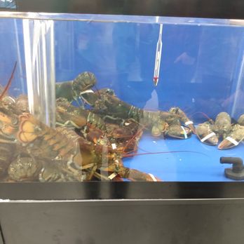 TOPS Friendly Markets - Lobster tank - Grocery Near Me - Hamburg, New York TOPS Friendly Markets - Lobster tank - Grocery Near Me - Hamburg, New York