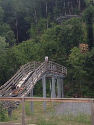 Smoky Mountain Alpine Coaster by null