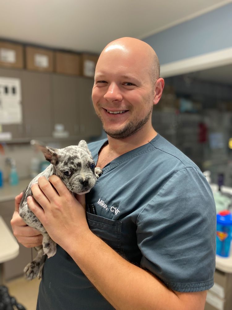 THE MAYWOOD VETERINARY CLINIC Updated September 2024 44 Photos