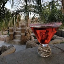 Volcano Oasis
