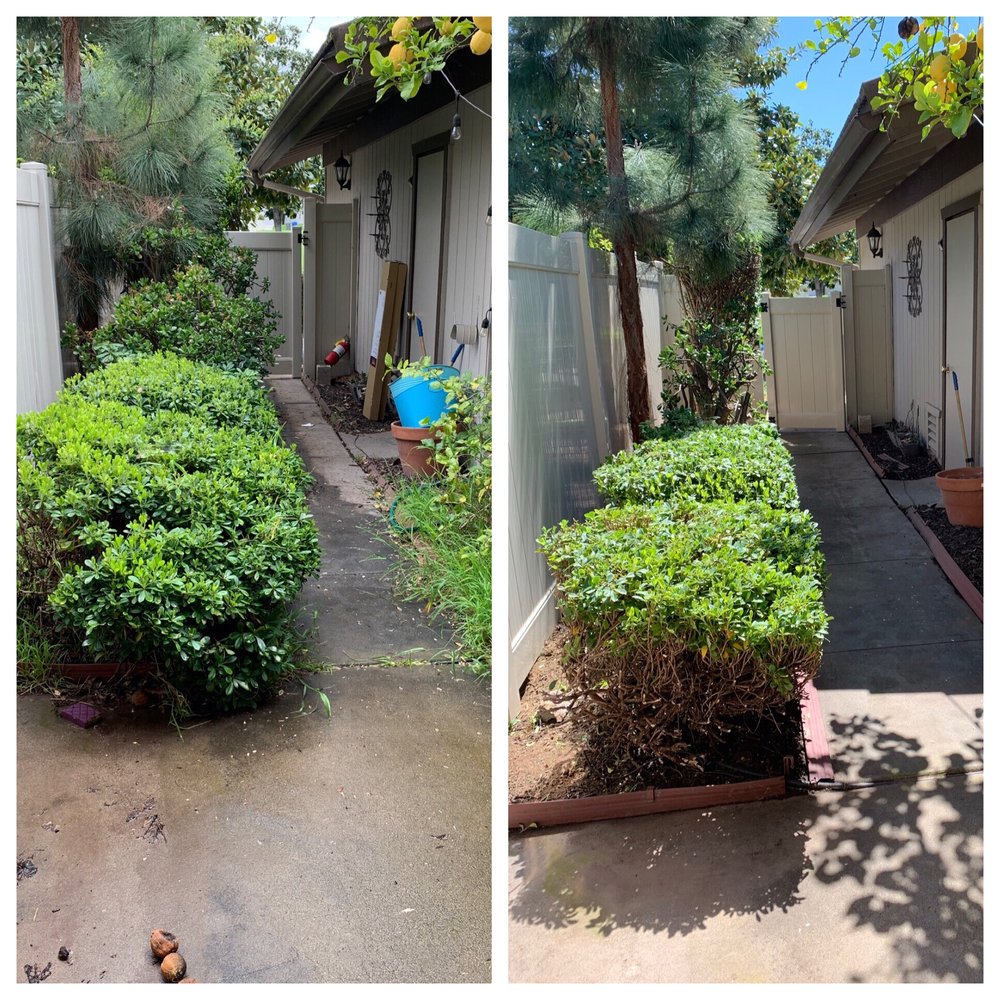 Jimenez Landscaping - Before and after courtyard clean-up! - Landscaping Near Me Jimenez Landscaping - Before and after courtyard clean-up! - Landscaping Near Me