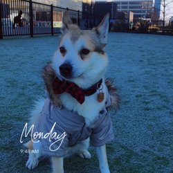 Biggest Little Dog Park - BRRRRR!!! Happy New Year!