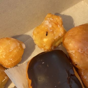 Donut King - An ant was found within our donut holes. - Coffee & Tea Near Me - Santa Monica, California Donut King - An ant was found within our donut holes. - Coffee & Tea Near Me - Santa Monica, California