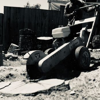 North Bay Tree Service - Logging & Stump Grind in Sonoma, CA. - Tree Services Near Me