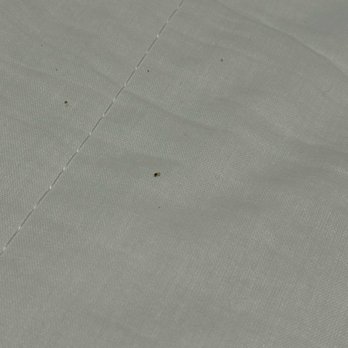 Copenhagen Backpackers - Dead bedbugs - Hostels Near Me - Copenhagen, 84