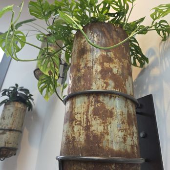 Flame Bar & Grill - Lots of plants - Bars Near Me - Queenstown, OTA
