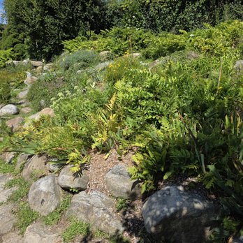 Harkness Memorial State Park - Garden paths below the formal gardens - Landmarks & Historical Buildings Near Me - Waterford, Connecticut