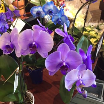 Vons - Beautiful flowers - Grocery Near Me - Bakersfield, California