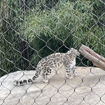 Southwick's Zoo - Amusement Parks Near Me - Mendon, Massachusetts